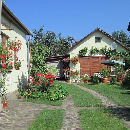 Garden City Apartment Kluż-Napoka Zewnętrze zdjęcie